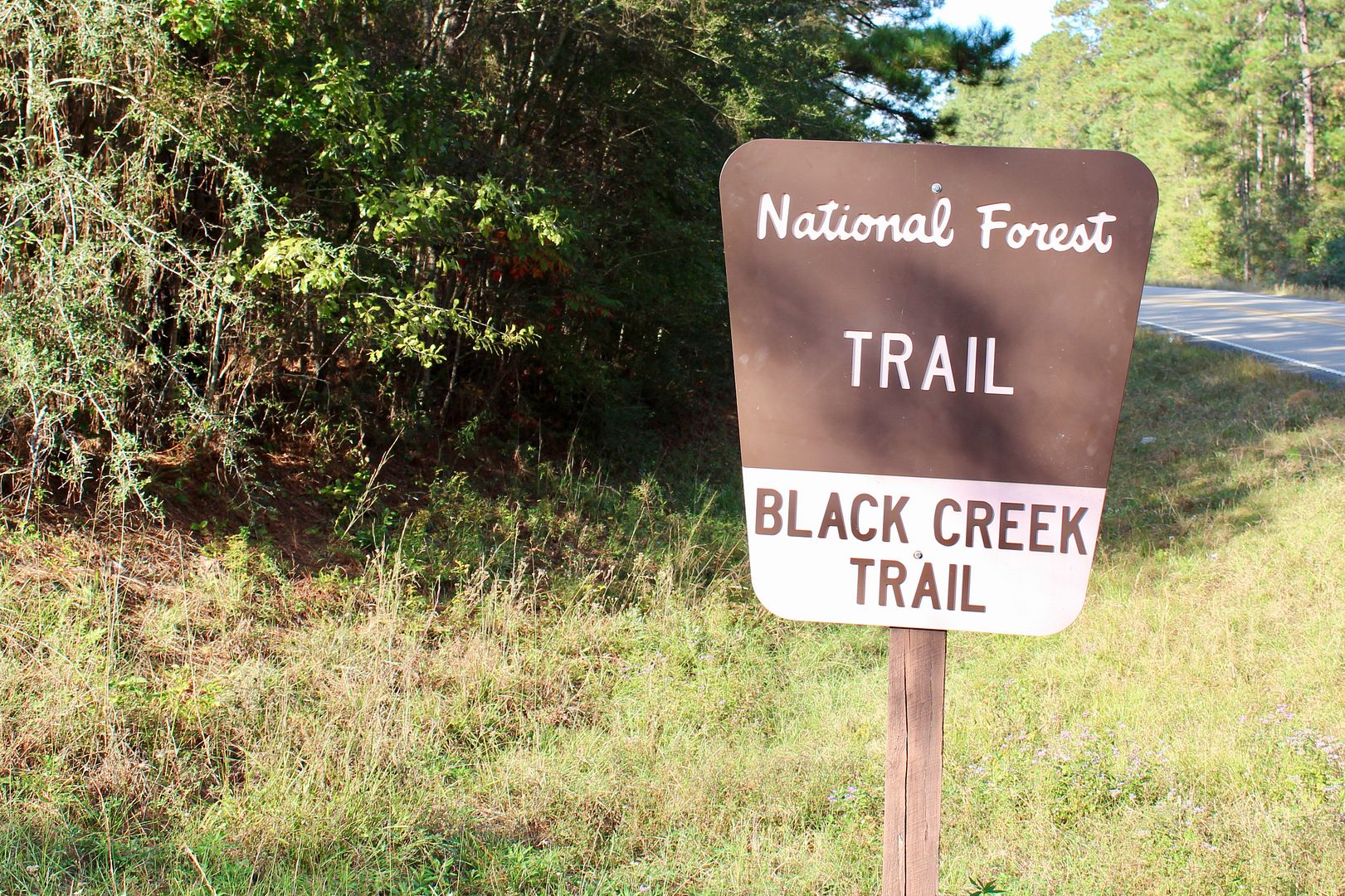 Winds of Destiny RVLife Hiking the Black Creek Trail, 11/05/2017